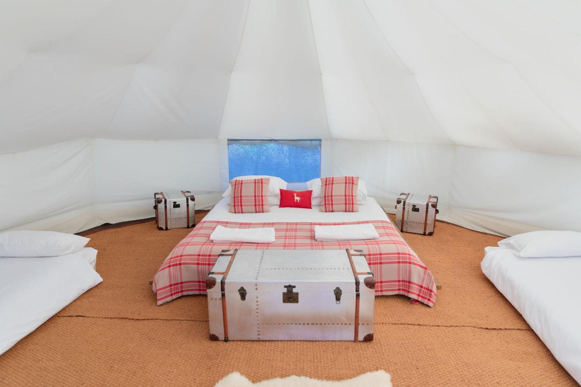 Horsley Hale Farm Glamping Hotel Ely Phòng bức ảnh