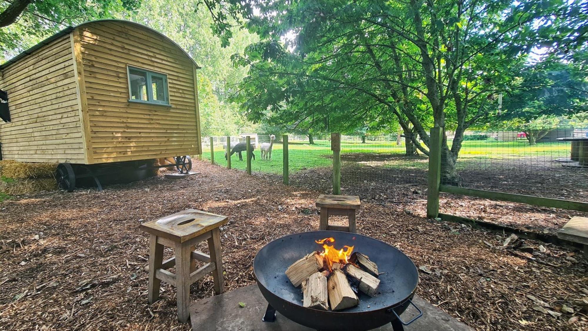 Horsley Hale Farm Glamping Hotel Ely Phòng bức ảnh